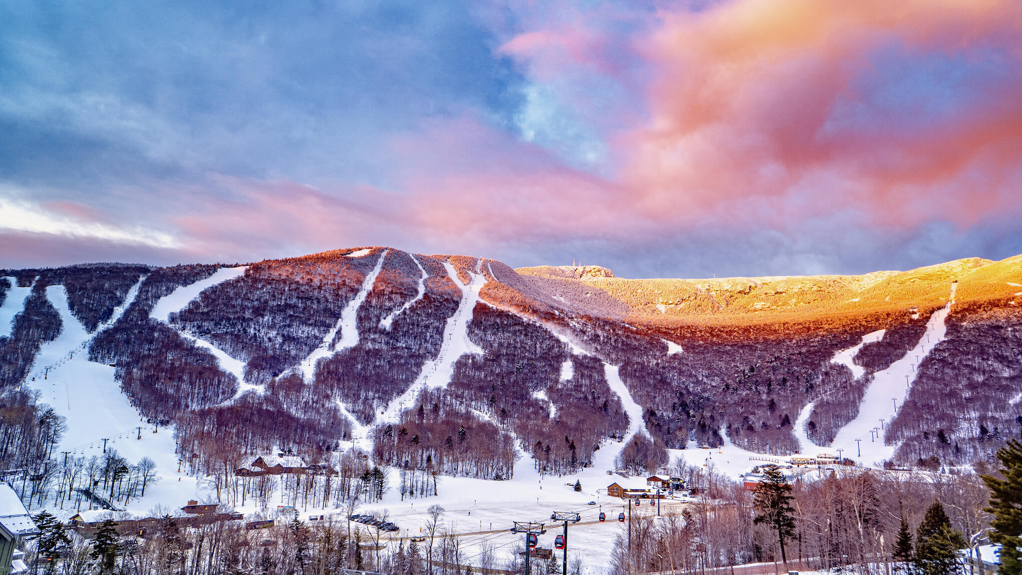 stowe photo