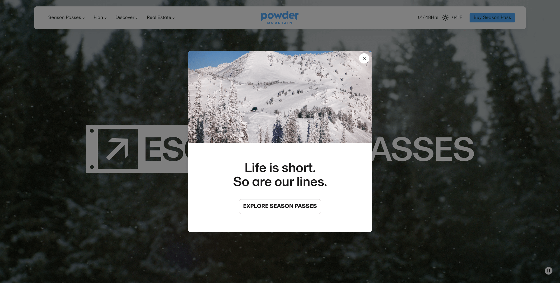 divider image for this post