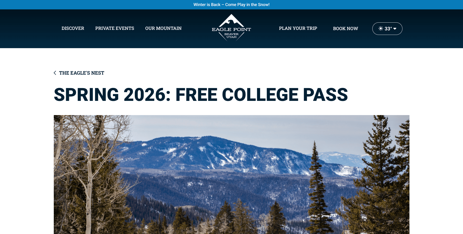 divider image for this post